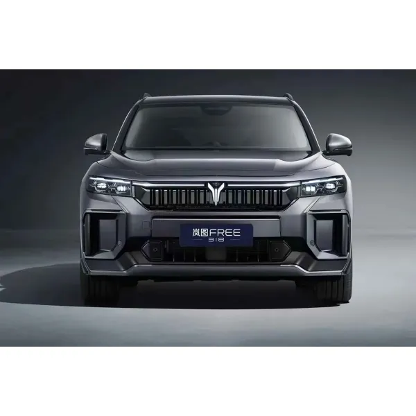 2025 VOYAH FREE 318 Китай Новый энергетический автомобиль внедорожник диапазон 318 км задний привод Четыре колеса