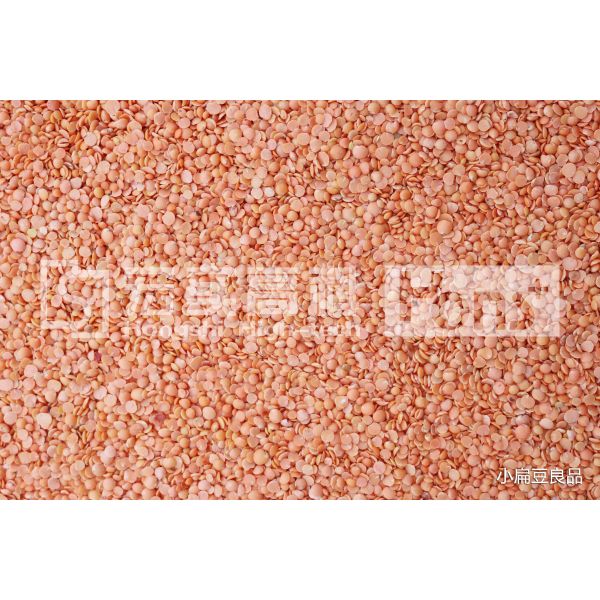 Fast Detection 5400 4 Chutes Intelligent Rice Color Sorter