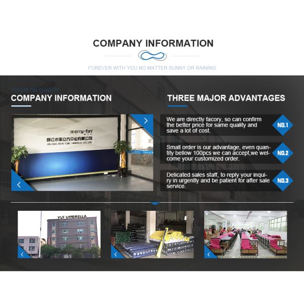 Steel Shaft Advertising Transparent POE Full Body Dome Umbrella with Print Logo Auto Open