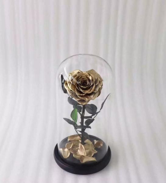 Preserved Rose Long life Glass Cover Preserved Real Fresh Forever Rose in Glass Preserved Flowers