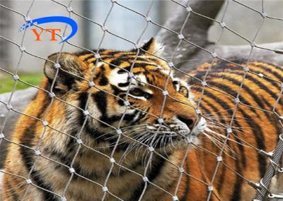 Durable 60x60mm Aviary Wire Mesh 7x7 304 316 SS Woven Wire Mesh