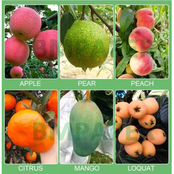 56gsm Waterproof Growing Paper For Mango Fruit Covering Bags UV Resistant 56 гр. водонепроницаемая бумага для выращивания манго, устойчивая к УФ