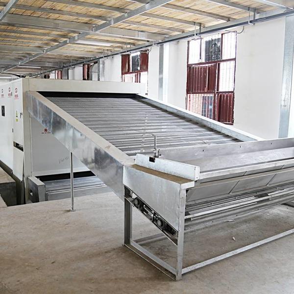 Silkworm Cocoon Belt Drying Machine Sericulture Equipment Drying Processing Machinery