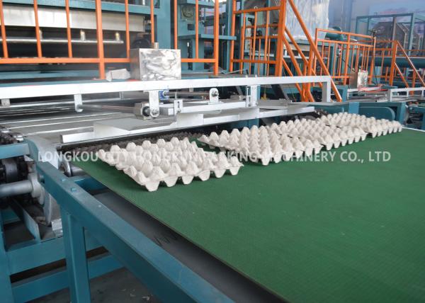 Customized Color Pulp Egg Tray Equipment Recycled Paper Processing Machine