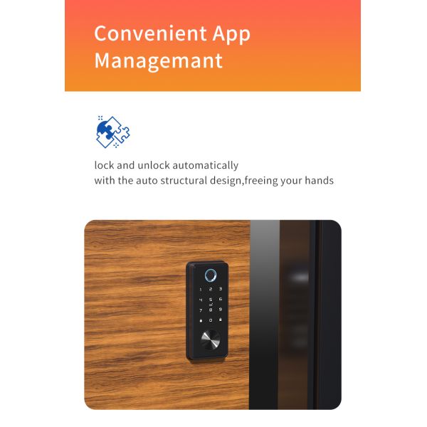 POLYMATH Smart Bedroom Wifi Electronic Intelligent Tuya Door Lock with APP Control
