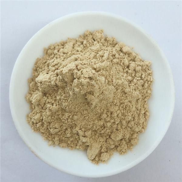 bitter melon extract powder 10% can be usedas nutritional supplement Free Sampler