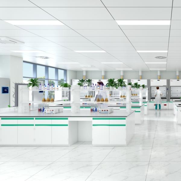 ISO Modular Physical and Chemical GMP Cleanroom Biomedical Project Solution