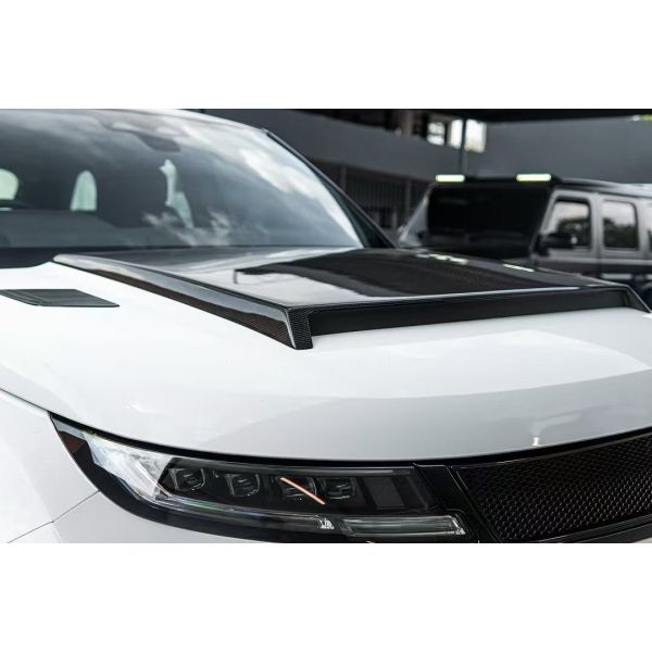 Carbon Fiber  Range Rover Sport Body Kit LM Style Front Lip Car Wheel Arch