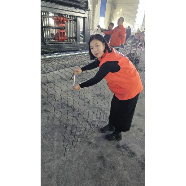 2.7mm Wire Thickness Gabion Stone Box 2x1x1m With PVC Coated And Galvanized