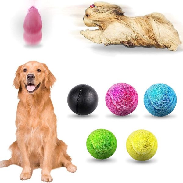 Interactive Agility Training Eco-Friendly Voice Control Reward System