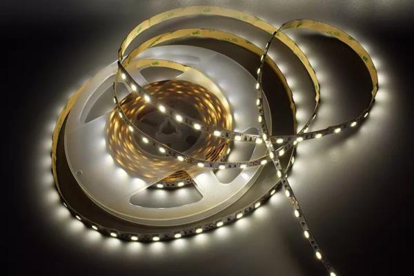 12w 12v 24v 10mm 60 Leds Rgb 5050 Smd Flexible Led Strip Light with and Multi Colors