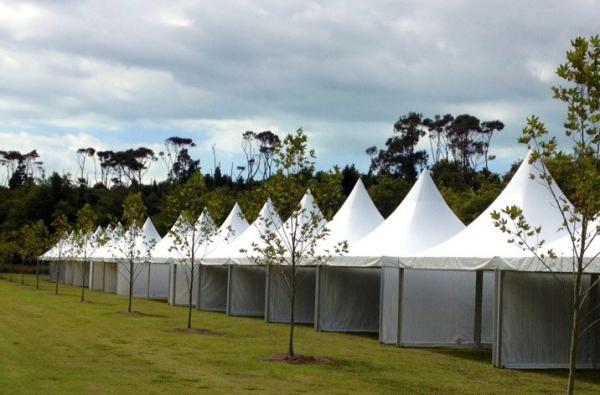 White / Transparent Canvas 8x8 Outdoor Gazebo Tent With Hot Dip Galvanized Steel