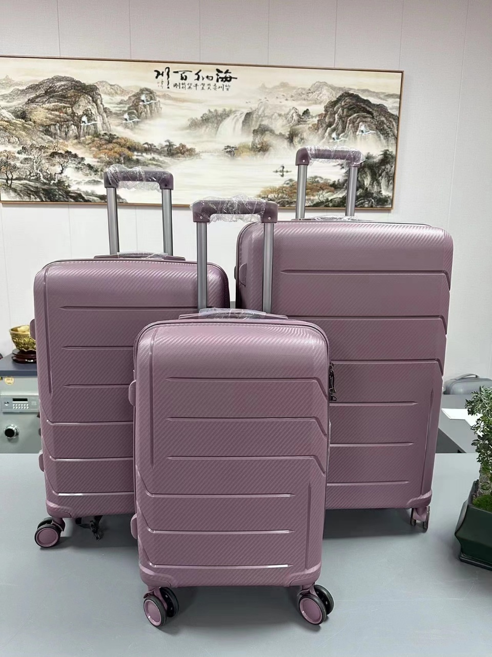 Unisex Large Ultra-Durable Resilience Carry-On Luggage Sets High Reliability Spinner Explosion-Proof Zipper PP Material PP