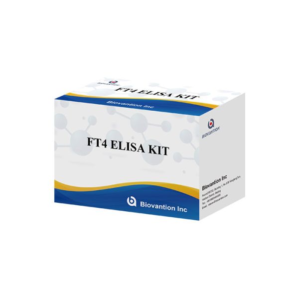 Образец сыворотки анализа крови тироксина набора теста FT4 Elisa свободный