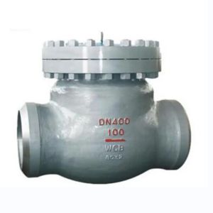Check Valve
