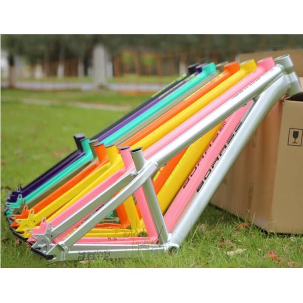 Chinese Cheap Aluminum Dirt Jumper 4X BMX Bike Frame Horizontal Dropout Mountain Bicycle Hardtail Frame