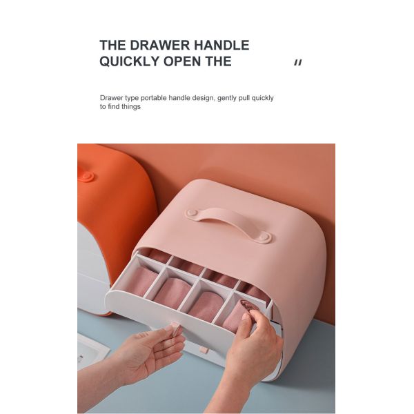 Convenient Storage Solution Dust-Proof Plastic Storage Box for Underwear and Socks