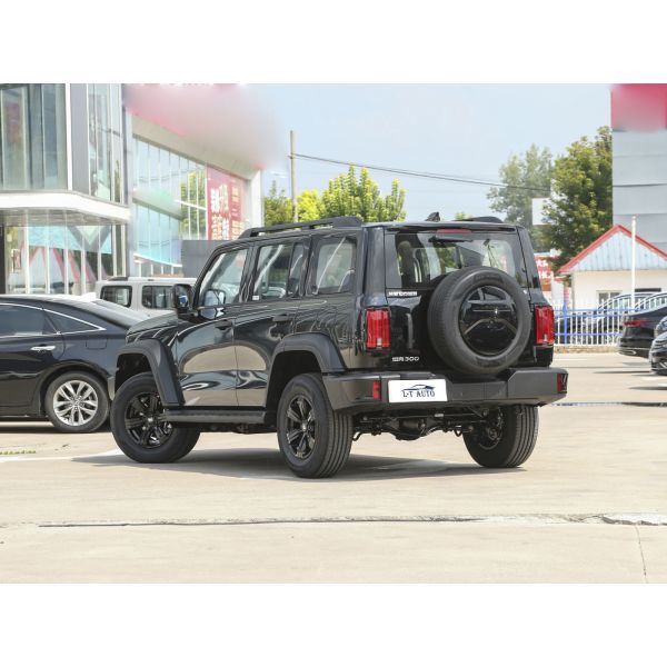 Tank 300 Cross-Country 2.0T Turbo Gasoline Suv Chinese Gas/Petrol-Electric Hybrid Vehicle
