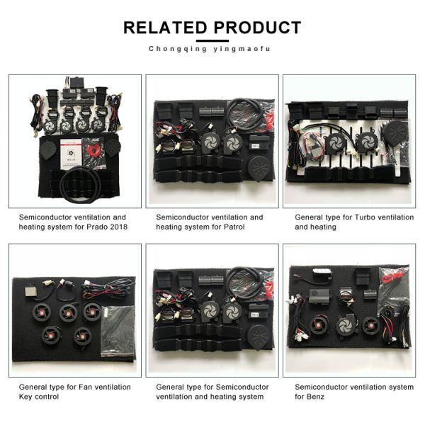 Prado Camry Rav4 VW Changeable Ventilation Cooling Heating Lumbar Support Switch Car Electric Seat