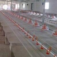 Broiler Feeding Pan Poultry Drinking Line Buveur de mamelon pour caille