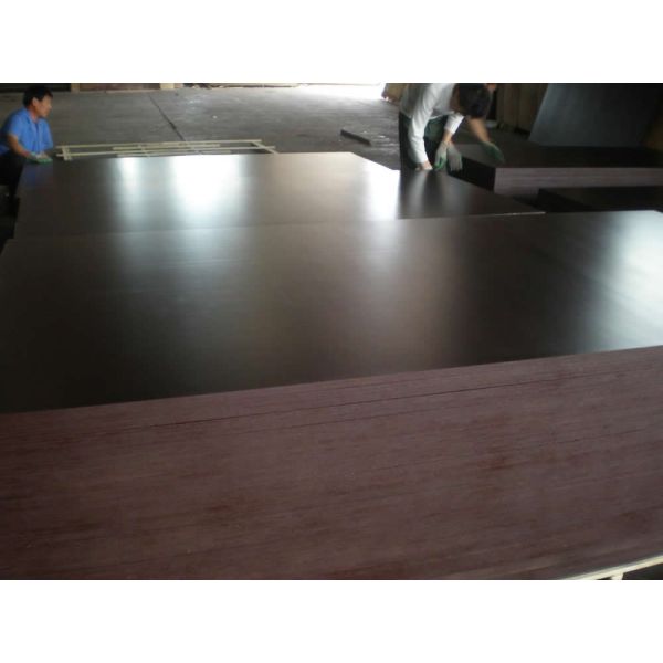 WBP brown film faced plywood for construction 