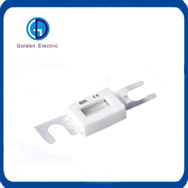 Automotive DC Auto Fuse Link 35A 63A 100A 125A 160A 200A 250A 300A 350A 400A 500A 600A 750A