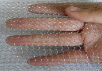 Corrugated / Crimped Stainless Steel Screen Wire Mesh With 0.20-0.28 Mm Wire Diameter