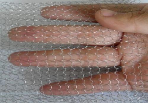 Corrugated / Crimped Stainless Steel Screen Wire Mesh With 0.20-0.28 Mm Wire Diameter