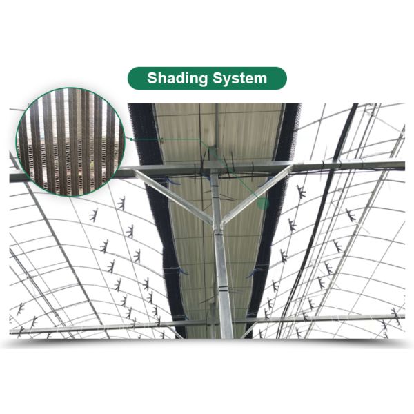 Система отопления воды Корейский режим Фильм Сельскохозяйственные теплицы для круглогодичного земледелия