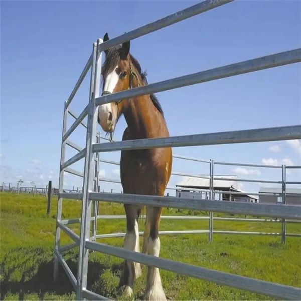 Australia Portable Farm Livestock Steel Fence Panels Galvanized For Cattle