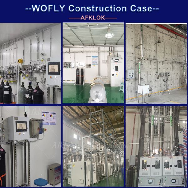 Équipement médical et approvisionnement en gaz en acier inoxydable 316L régulateurs de pression à étage unique sortie 60psi 1/2in mâle