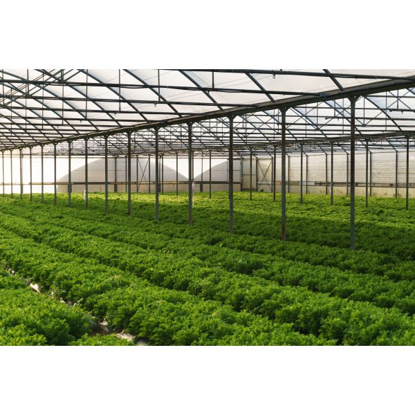 Water Soluble Organic Matter 70% Fish Protein Fertilizer Brown Microgranular