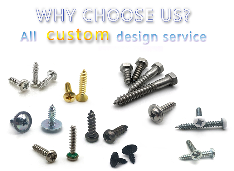 Thread Forming Screw for Plastic Metal Wood Customized Stainless Steel Powder Coating