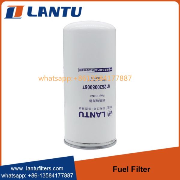 Фильтр дизельного топлива 612630080087 Lantu 1000053555 1000422382 изготовитель 1117050B81DM FC71090 R010018