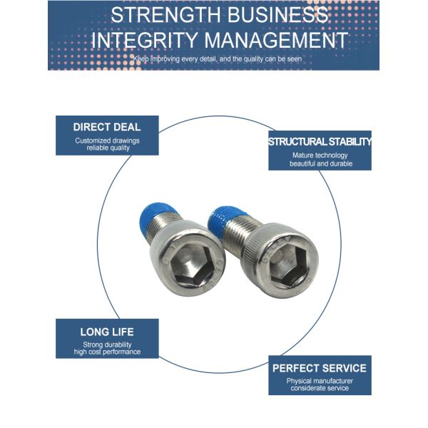 Stainless Steel SS304 Hexagon Socket Head Bolt with Blue Coating Nylon Lock Screw Cap