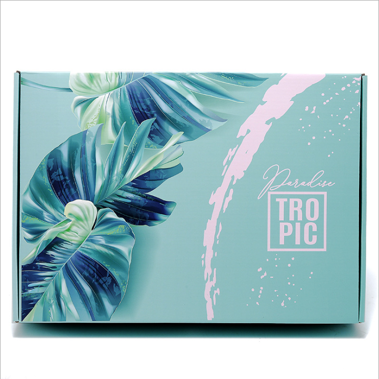 Красочная упаковывая таможня гофрировала аттестованный КЭ ФСК ИСО9001 коробок