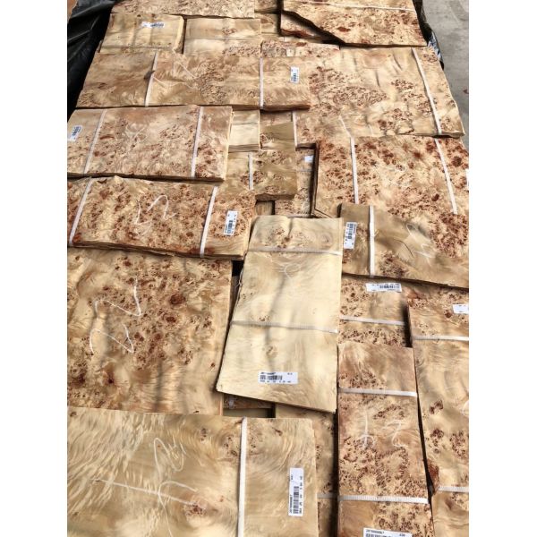 Mappa Burl Veneer Poplar Burl Jointed Panel for Fancy Furniture Making