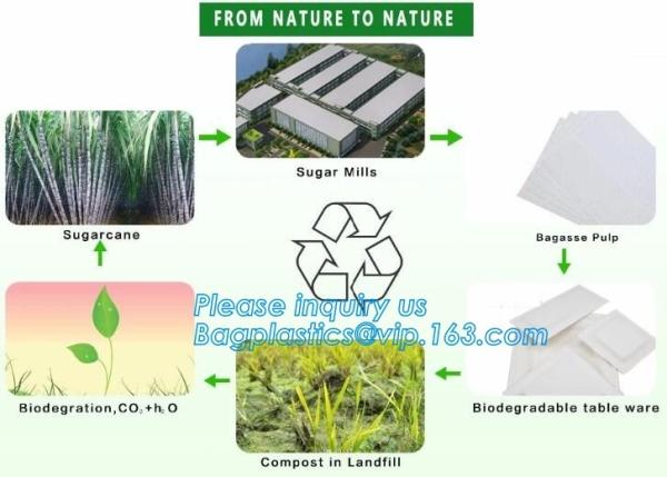 biodegradable corn starch fast food container,Biodegradable Box Corn Starch Food Container Manufactures bagease package