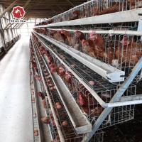 Um tipo galinha da bateria da camada prende o zinco automático Cocating 275g/M2 das aves domésticas