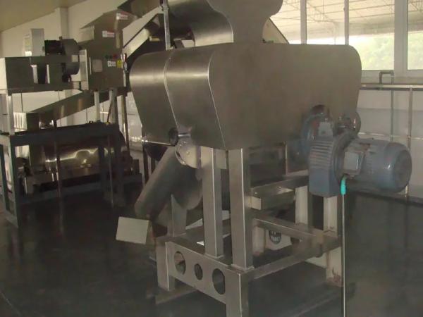SUS304/316 Complete Pitaya Processing Line Customized Passion Fruit/Pitaya/Guava Production Plant Equipment With PLC For Fruit Factory