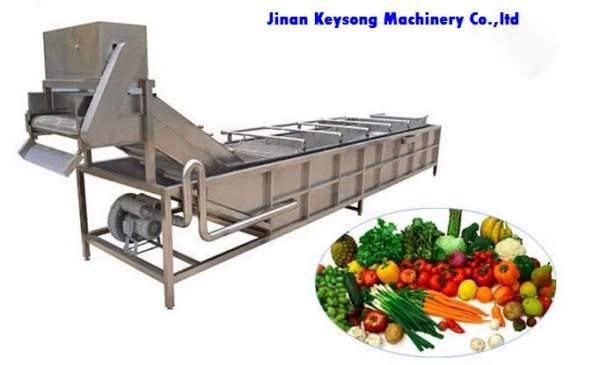 Fresh Fruit And Vegetable Processing Machinery Cleaning Equipment High Efficiency