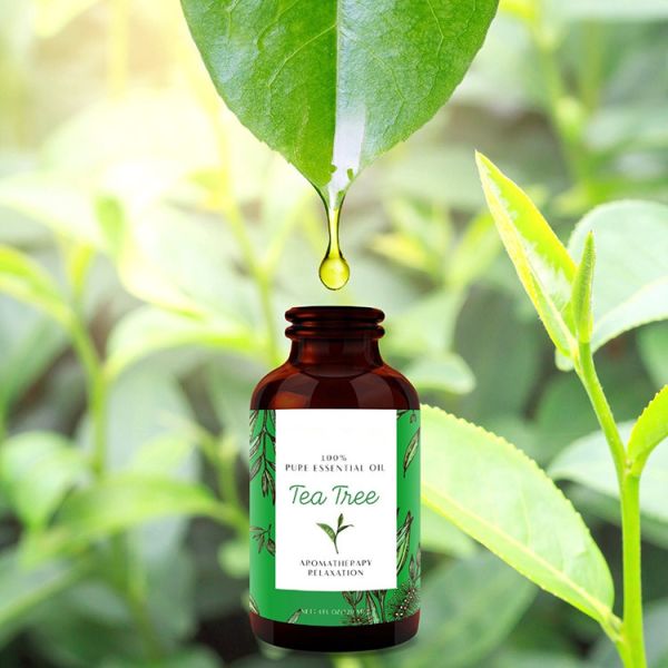 Апотекары эфирных масел дерева чая естественный не извлекает никакие добавки для заботы кожи