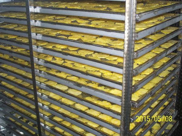 2.8 X 1.6 X 2.35m Industrial Food Dryer Machine , Steel Dry Fruits Processing Machine