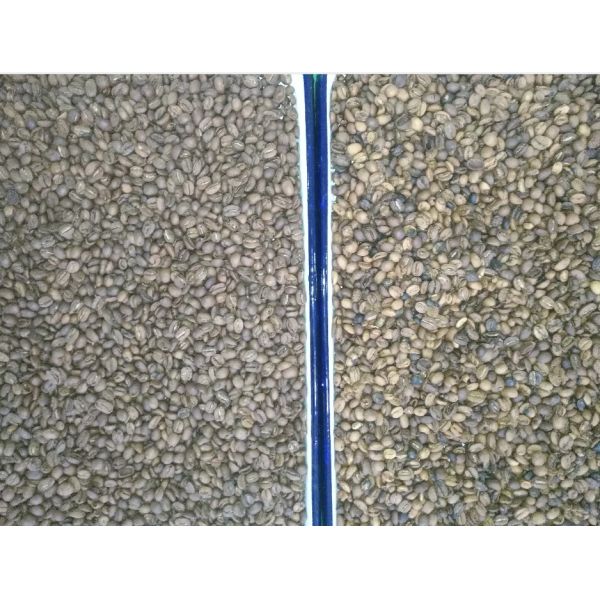 Сырцовые или зажаренные в духовке каналы парашюта 64 сортировщицы 1 цвета кофейного зерна