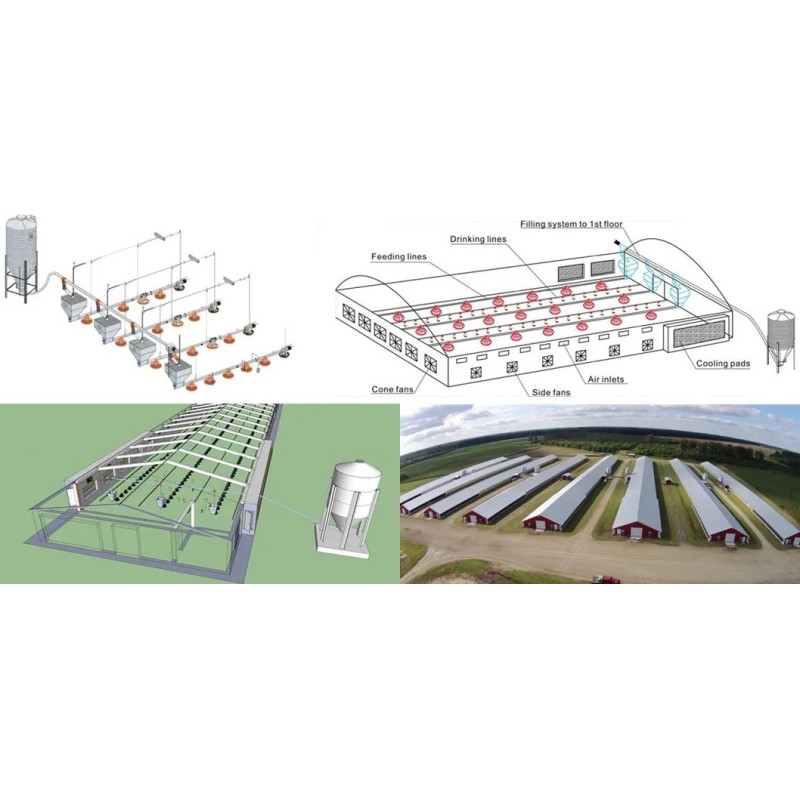 Fully-Automatic Poultry Farm Equipment with Hot-Dip Galvanized Steel and Negative Pressure Ventilation