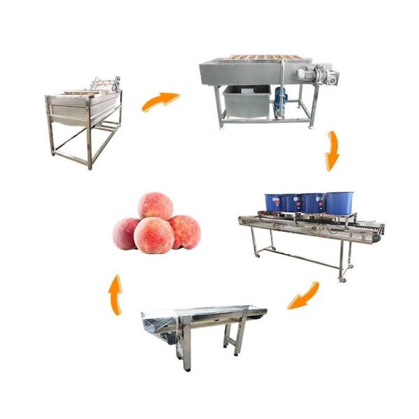 Hot selling High Quality Wholesale Custom Cheap Fruit Sink Washer by Huafood
