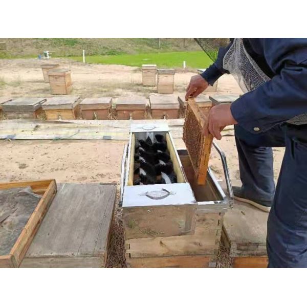 Horizontal Photoelectric Sensor Sweeper Bee brush beekeeping equipment Electric Bee Brush Auto