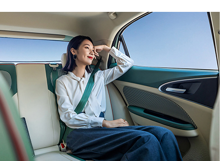 Left Steering Ora HaoMao EV Mini Car Family Electric Vehicle 150km/H