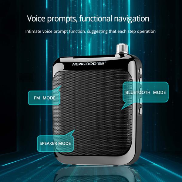 2018 NEWGOOD Bluetooth 2.4Ghz Wireless Headset Microphone Voice Amplifier Loudspeaker for Classroom,School,Yoga,Coach