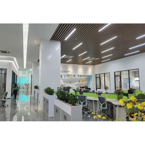 Candida Albicans Rapid Test Kit With Vaginal Swab Cassette Device Kit